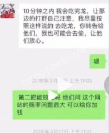 IG Wei赌债真相