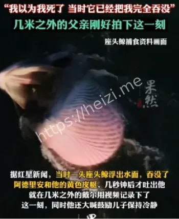 男子被座头鲸吞下