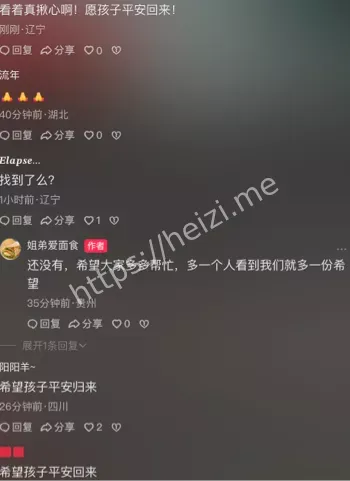面包车失踪