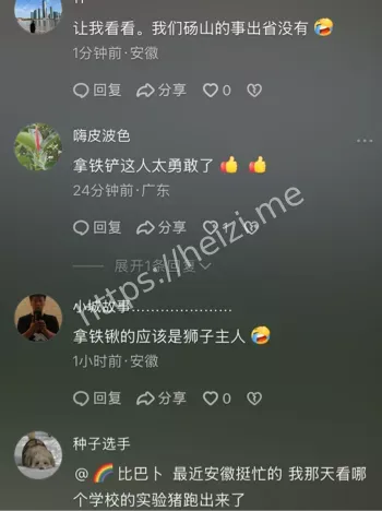 街头惊魂