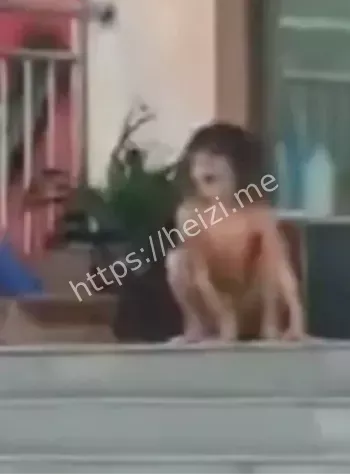 家人衣衫不整