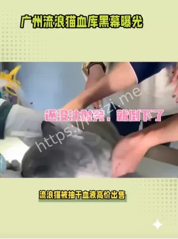 灰色产业链条