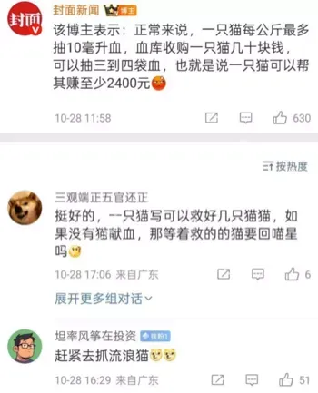 广州血猫事件