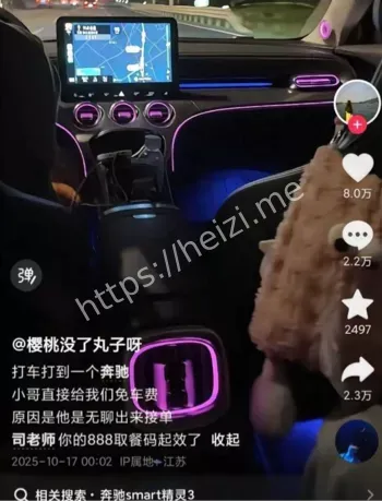 樱桃没丸子呀