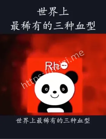 王思俊