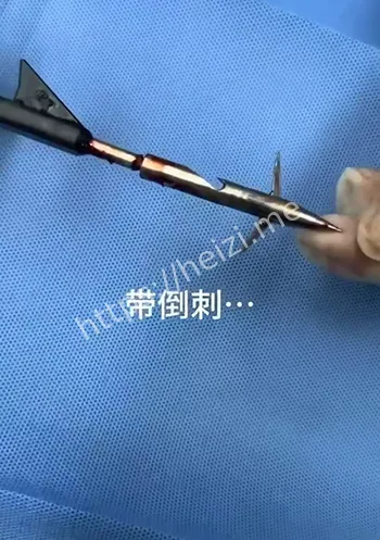 乡村虐宠