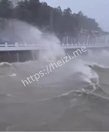 狂风暴雨灾情