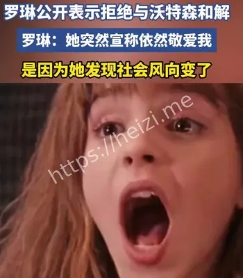 罗琳艾玛分歧