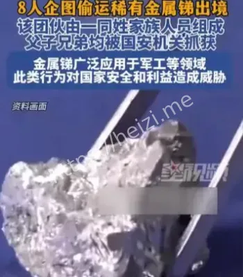 父子兄弟走私