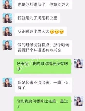 金毛飞儿