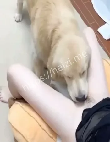 离异少妇