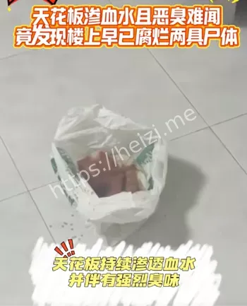 盛港公寓惨案
