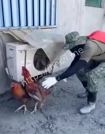 花莲大舞台