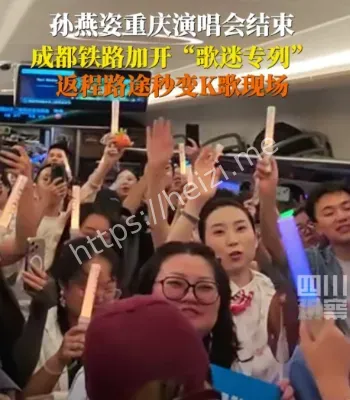 顶流演唱会