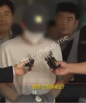粉丝打赏