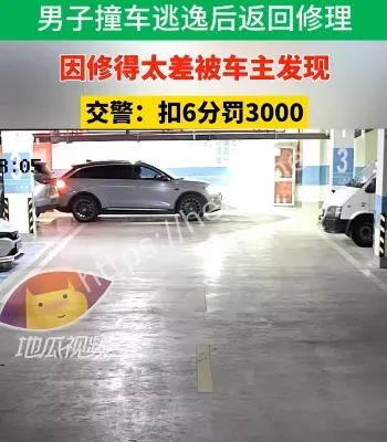 男子肇事逃逸