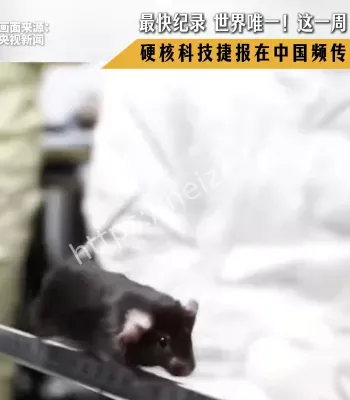 中国科技捷报
