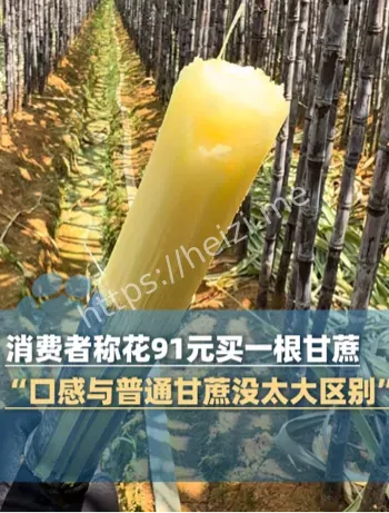 上海甘蔗事件