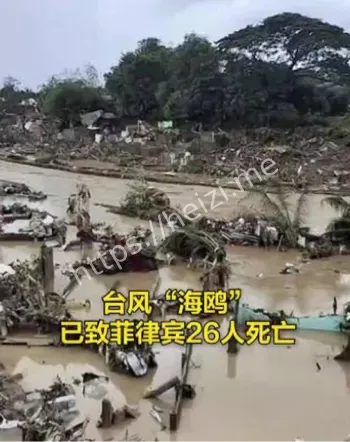 台风海鸥