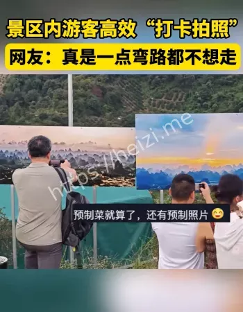 风景也有预制
