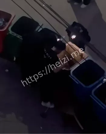 大学生虐狗