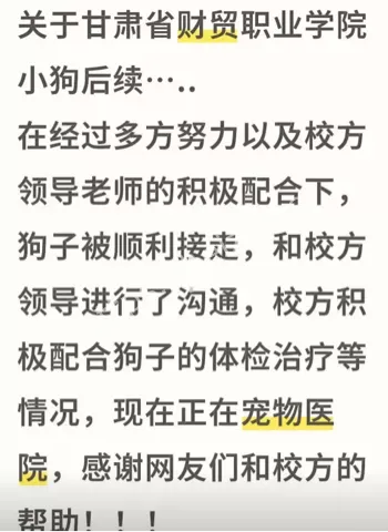 虐狗视频曝光