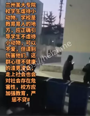大学生虐狗