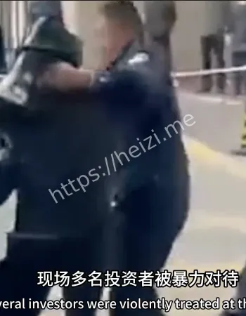 数百投资者