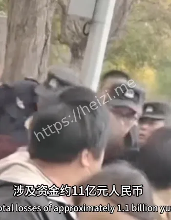 数百投资者