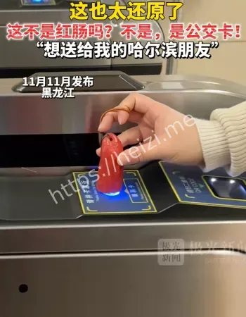 红肠公交卡