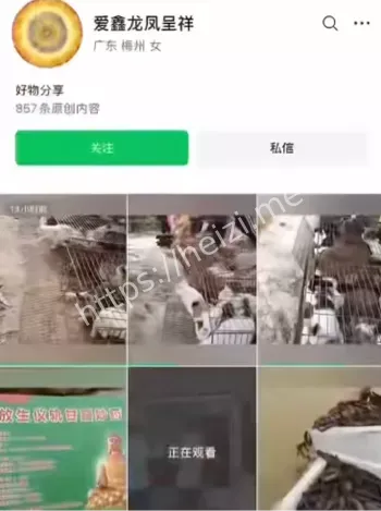 放生生态危机