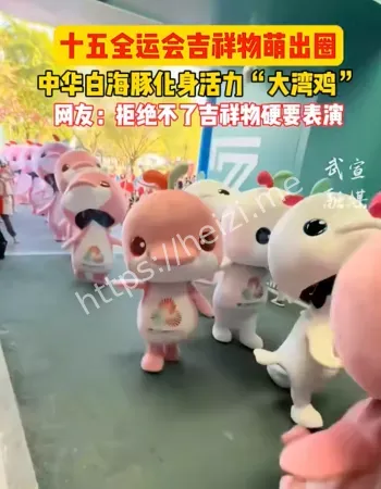 全运会小海豚