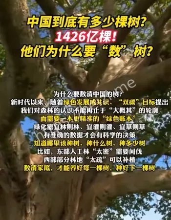 1426亿棵树