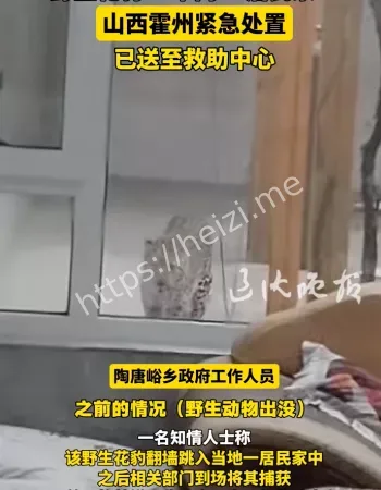 视频曝光