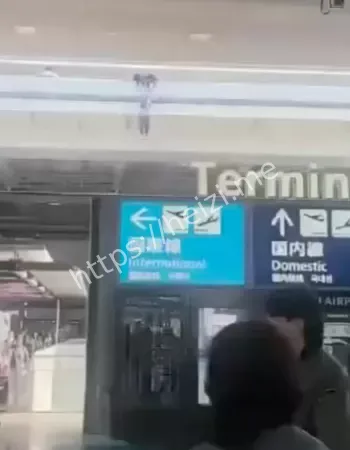 魂断异国