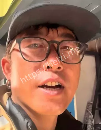 白兰鸽的事