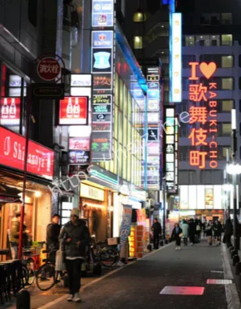 整容欠债