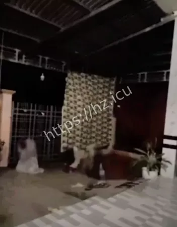 阿飘齐聚寺庙