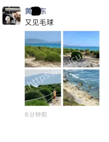 求助信曝光