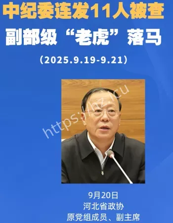 中纪委打两虎