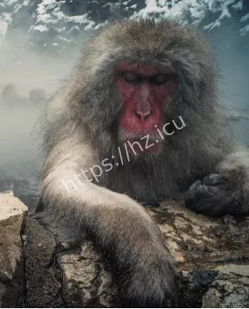 游泳被拽