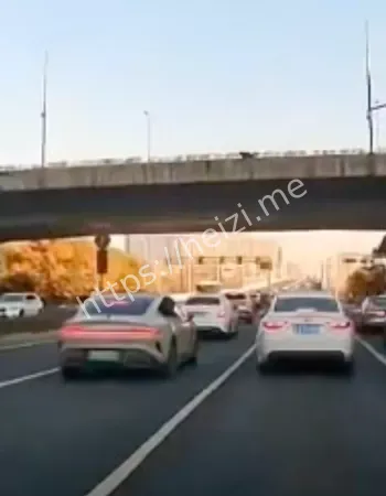 生死未卜