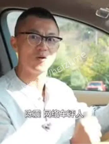 陈震偷税案