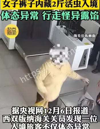 裤子内藏活虫