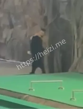 黑熊袭击事件