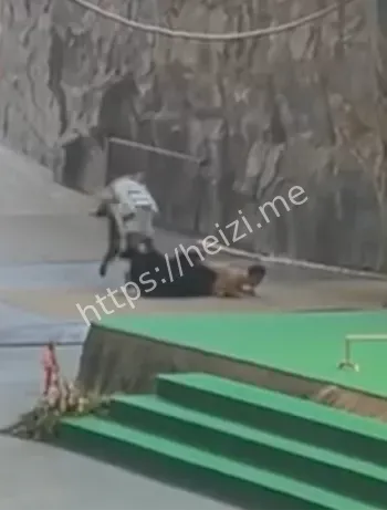 黑熊熊二