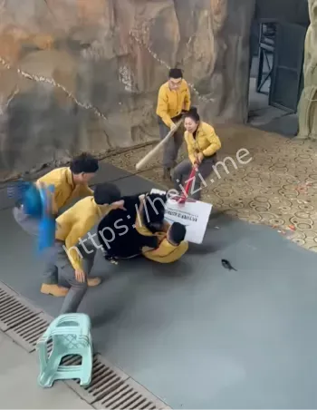 驯养员回应