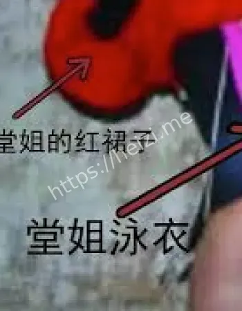 警方结论冲突