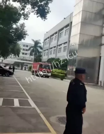 深圳松岗