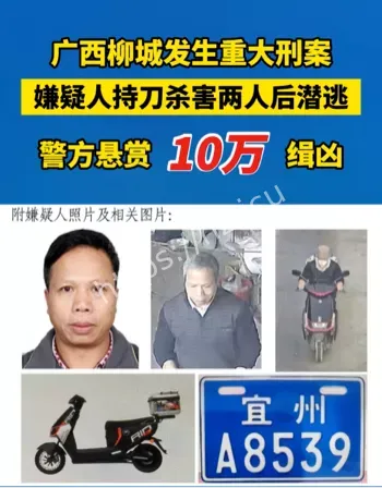 嫌疑人李某